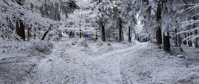 Bukačka ↔ Masarykova chata, rozc.