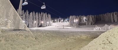 Zieleniec, odejście szlaku zielonego ↔ Pod Hutniczą Kopą