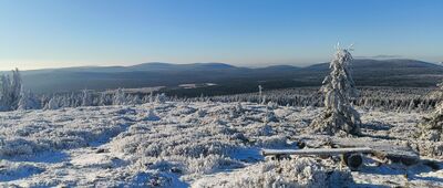 Pod Wysoką Kopą ↔ Rozdroże pod Kopą