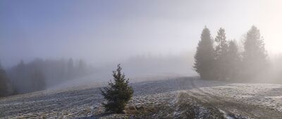 Skrzyżowanie pod Czuplem ↔ Rozejście szlaków [Na Wielkiej Cisowej chmurka nie odpuszcza.]