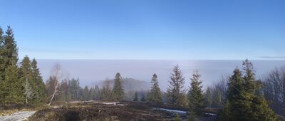 Odejście do chaty drwali ↔ Pod Błatnią [... by ze szczytu zobaczyć morze chmur skrywające Wapienicę...]