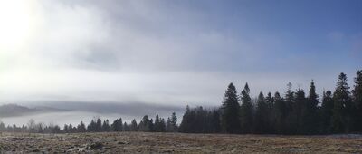 Pod Błatnią ↔ Jaskinia Dująca [...oraz Brenną.]