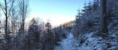 Rozejście szlaków [Szklany Szlak, na tym odcinku bardzo ładny.]