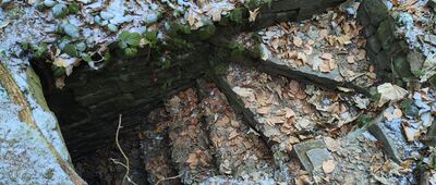 Chaty drwali [Zejście do piwnicy, pozostałości chaty drwali w Uroczysku Jesionka.]