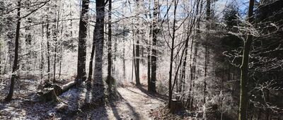 Rozejście szlaków ↔ Odejście do chaty drwali