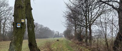 Raczkowa, Jurty Mongolskie ↔ Koiszków