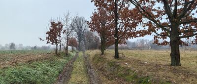 Dunino ↔ Koiszków, odejście szlaku czarnego