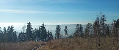 Rozejście szlaków ↔ Rozejście szlaków