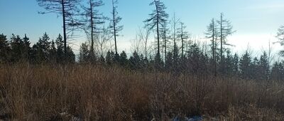 Rozejście szlaków ↔ Rozejście szlaków