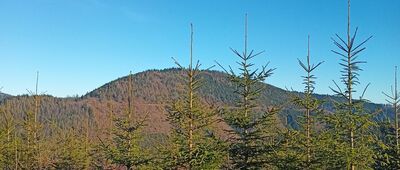 Pod Pośrednią ↔ Pod Średniakiem