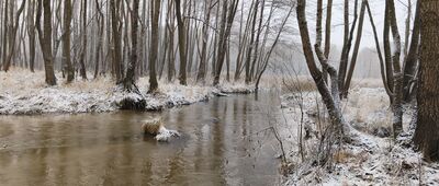 Dolina Białej Przemszy ↔ Wieża zachodnia [Biała Przemsza]