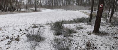 Kuźniczka-Las ↔ Wieża zachodnia [Połączenie ze starym przebiegiem szlaku]
