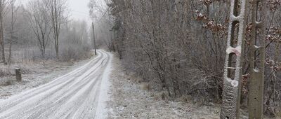 Kuźniczka Nowa [Kuźniczka, początek ścieżki dydaktycznej]