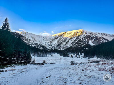 Przełęcz pod Kopą Kondracką z Hali Kondratowej