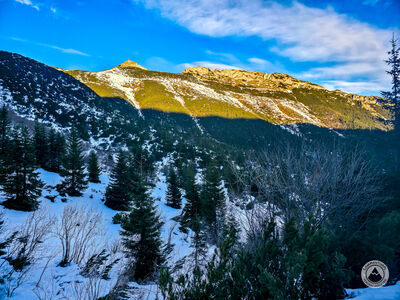 Giewonty z Doliny Kondratowej