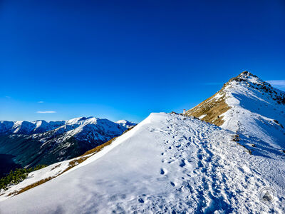 Goryczkowa Czuba z Goryczkowej Przełęczy Świńskiej