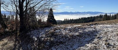 Bukowina Waksmundzka ↔ Tomusiowa