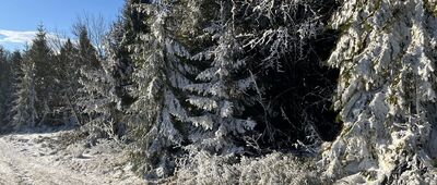 Kiczora ↔ Rąbaniska