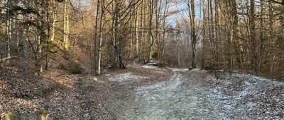 Chłapkowa ↔ Odejście ścieżki edukacyjnej