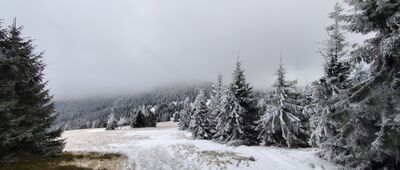 Trzy Kopce ↔ Hala Cudzichowa