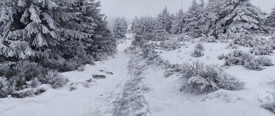 Pod Kopcem ↔ Hala Słowikowa