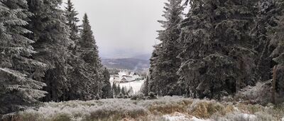 Hala Miziowa, wyciąg ↔ Pod Kopcem