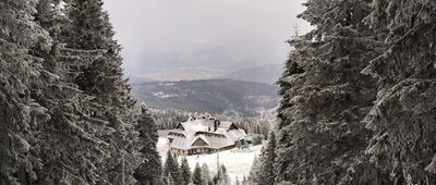 Hala Miziowa, wyciąg ↔ Pod Kopcem