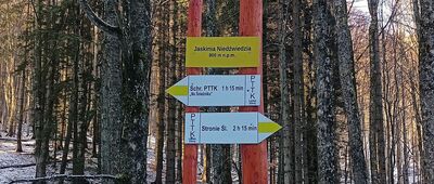 Jaskinia Niedźwiedzia