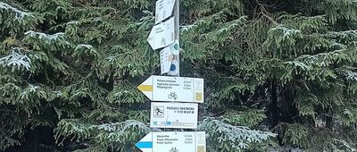 Przełęcz Śnieżnicka