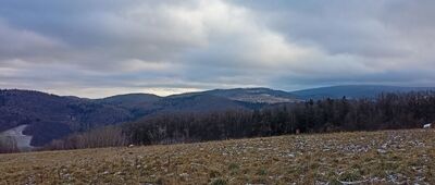 Boreczna ↔ Kanciarski Buk