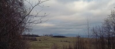 Lutomia Górna, pod Grabą ↔ Rozejście szlaków