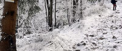 Rozejście szlaków ↔ Szczyrk, Solisko, rozejście szlaków