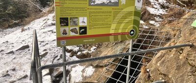 Malinów ↔ Przełęcz pod Malinowem