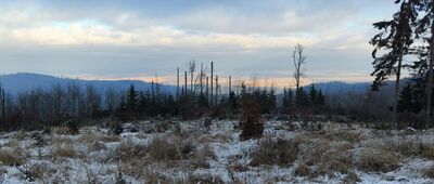 Rozdroże pod Gołębią ↔ Rozdroże pod Chochołem Małym