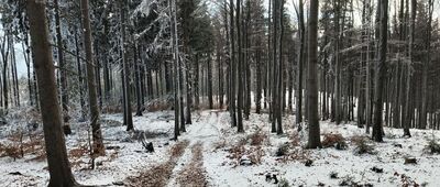 Szeroka ↔ Przełęcz pod Szeroką