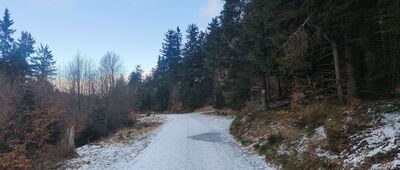 Rozwidlenie nad Zygmuntówką