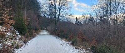 Rozwidlenie nad Zygmuntówką