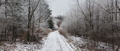Przełęcz pod Jeleńcem ↔ Pod Turzyną