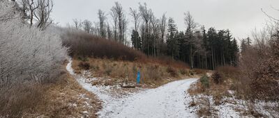 Przełęcz pod Jeleńcem