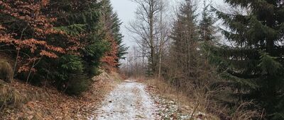 Pod Klinem ↔ Przełęcz pod Turzyną