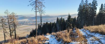 Świerczyna ↔ Stara Białka, skrzyżowanie