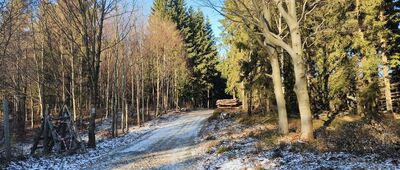 Rozdroże pod Wilkowyją