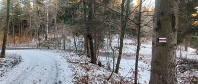 Przełęcz pod Średnicą