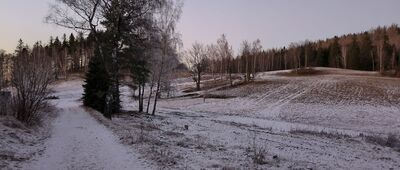 Przełączka pod Grabowcem ↔ Pod Przełączką