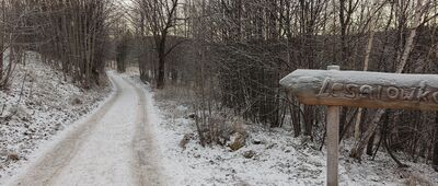 Karpacz, ul. Sosnowiecka