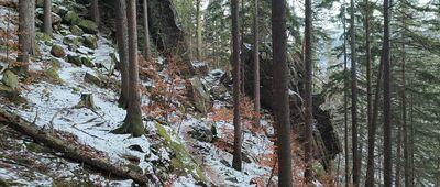 Zbocze Karpatki ↔ Zapora na Łomnicy