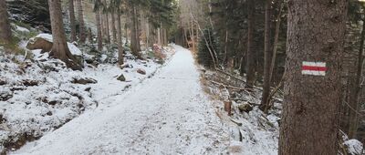 Karpacz, Orlinek ↔ Dolina Łomniczki