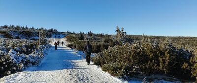 Przełęcz Pod Śnieżką