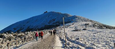 Schronisko Dom Śląski