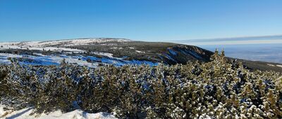 Torfowiska subalpejskie ↔ Równia pod Śnieżką